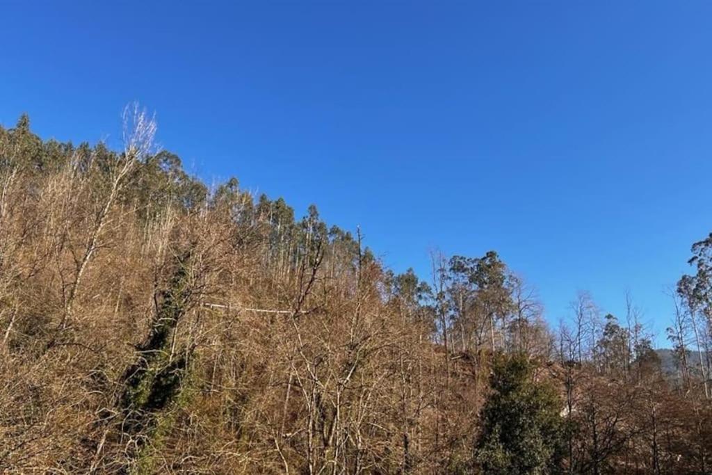 Villa Haraneko Errota Burdindegi El Cerco Auzoa Exterior foto